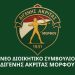 ΔΙΓΕΝΗΣ: Νέο ΔΣ με πρόεδρο τον Στ. Παλάοντα