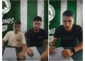 Τριπλή ενίσχυση για τον Κέδρο Αγίας Μαρίνας Σκυλλούρας