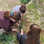 FB_IMG_1774718481841