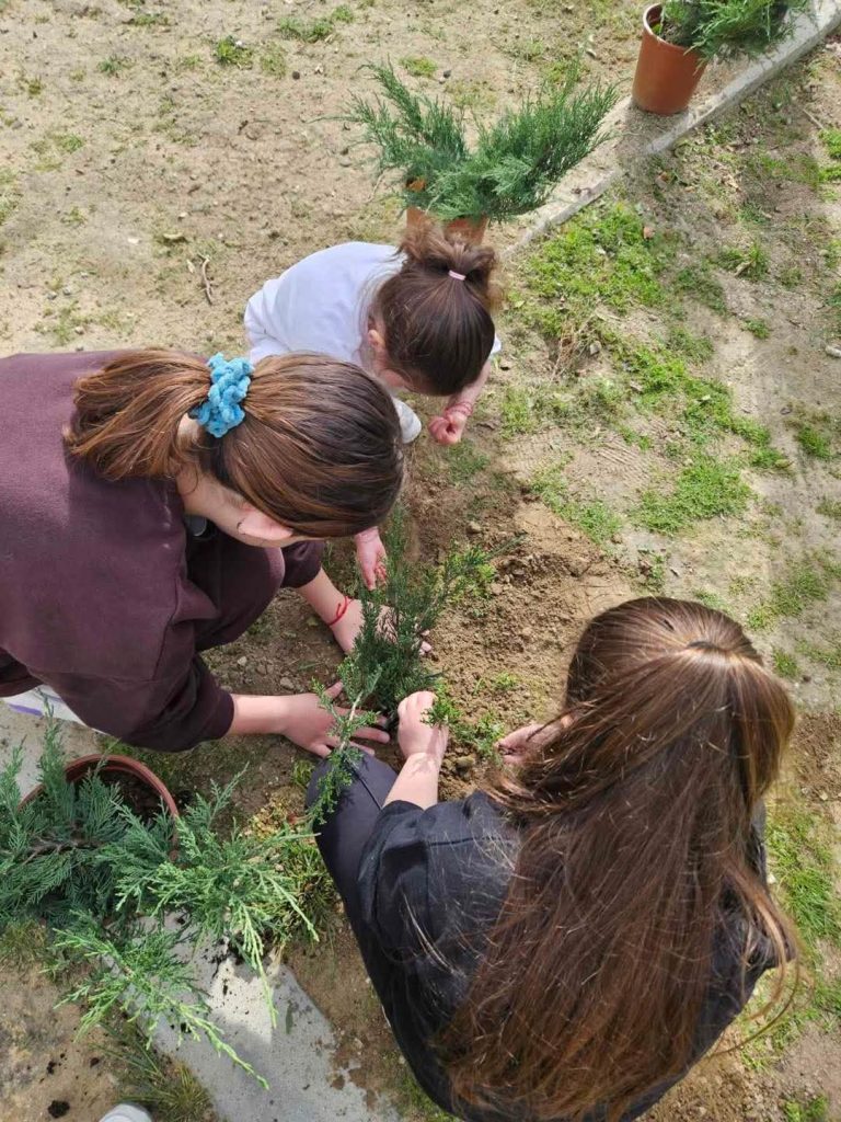 FB_IMG_1774718481841