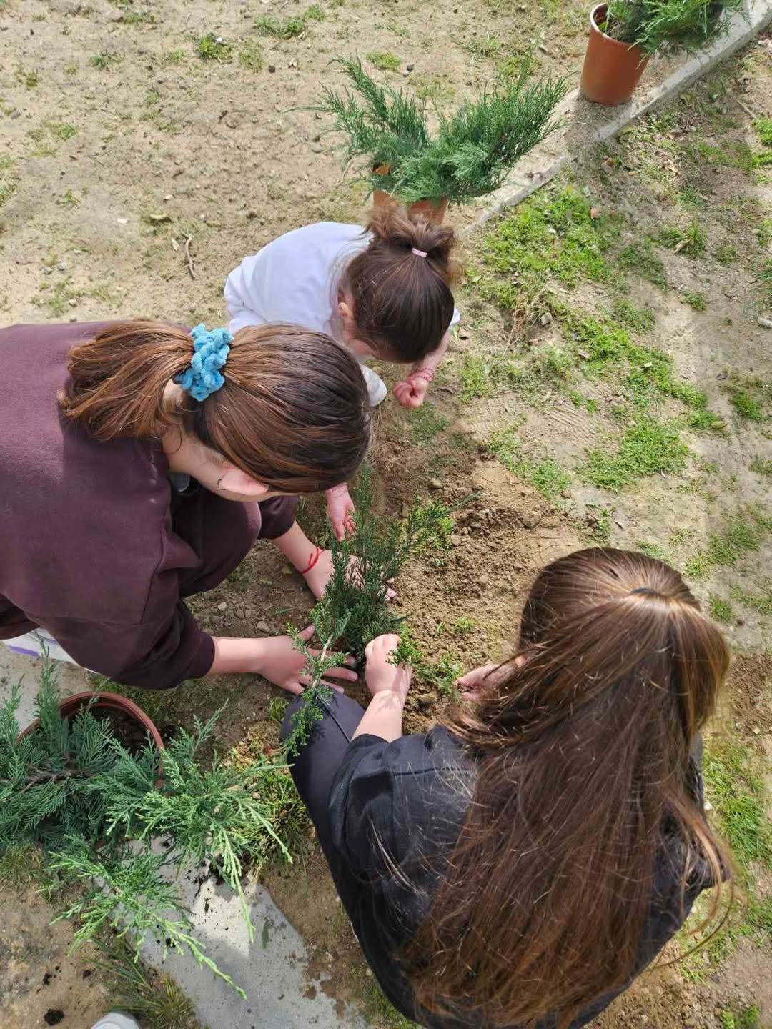 FB_IMG_1774718481841